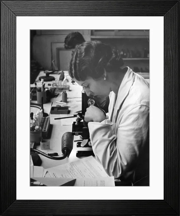 Framed Print : Blood Types Framed Print : Blood Types