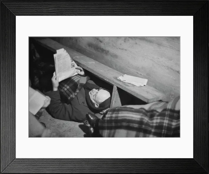 Framed Print : Shelter Life Framed Print : Shelter Life