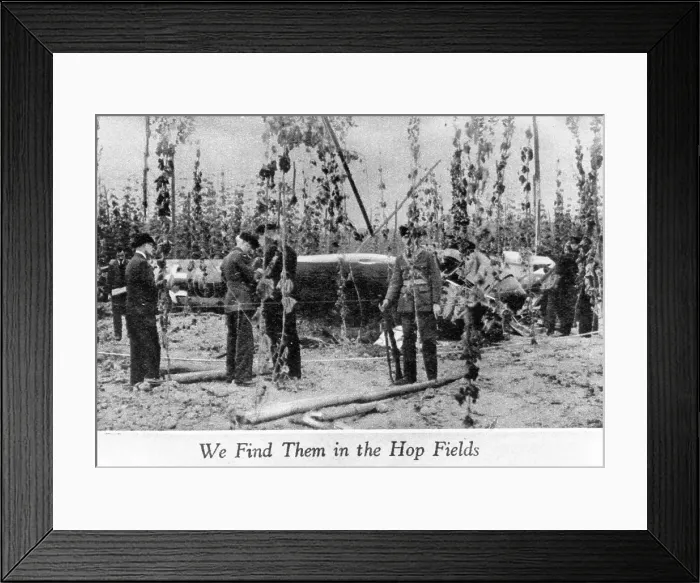 Framed Print : Find In Hop Fields Framed Print : Find In Hop Fields
