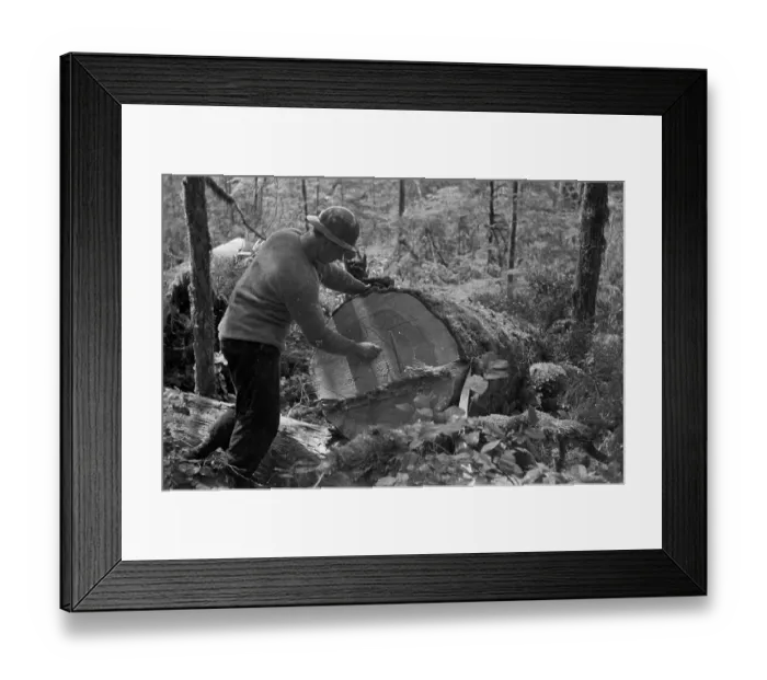 Framed Print : Measuring Tree Framed Print : Measuring Tree