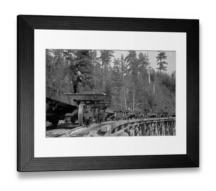 Framed Print : Train On Bridge Framed Print : Train On Bridge