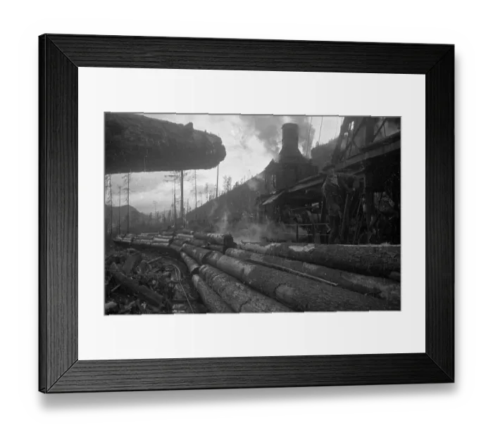 Framed Print : Logs By Train