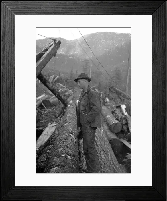Framed Print : Logger And Logs