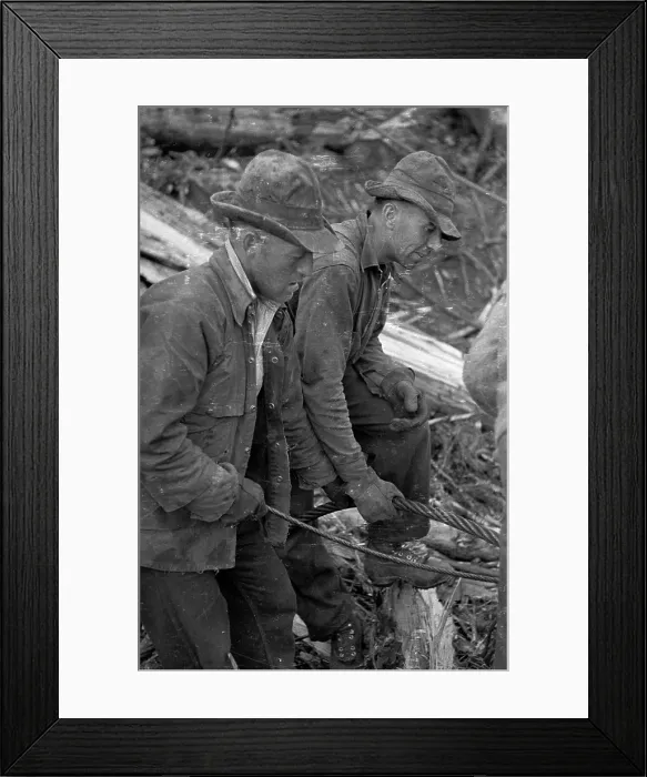 Framed Print : Loggers And Cables Framed Print : Loggers And Cables