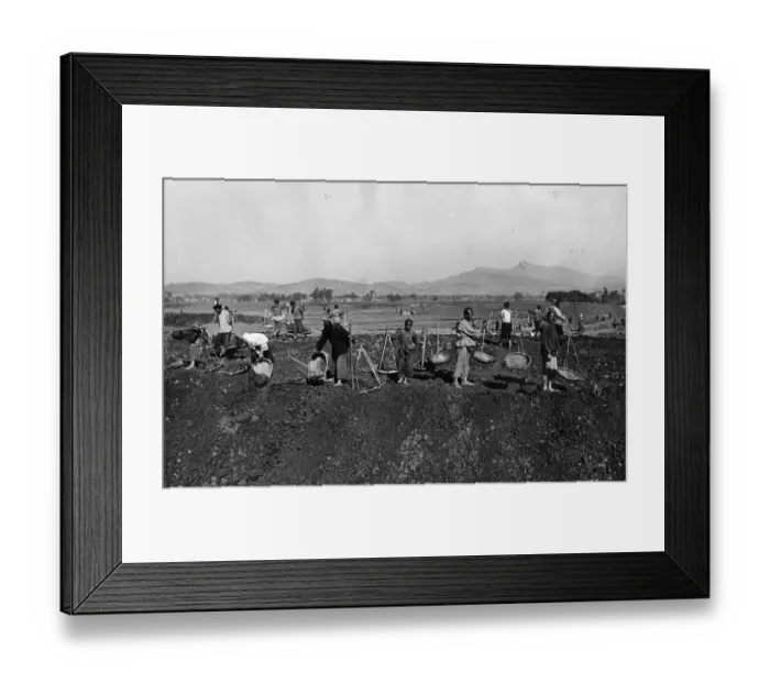 Framed Print : Railway Diggers Framed Print : Railway Diggers
