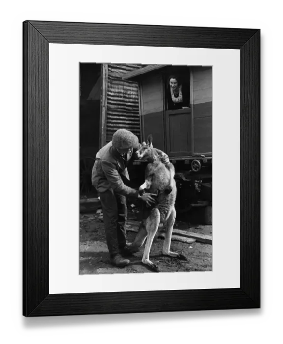Framed Print : Animal Lover