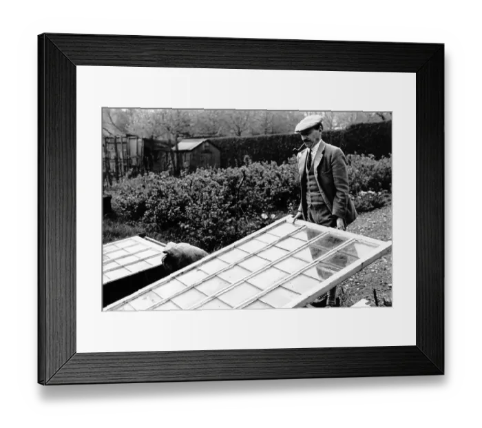 Framed Print : Attlee In Garden Framed Print : Attlee In Garden