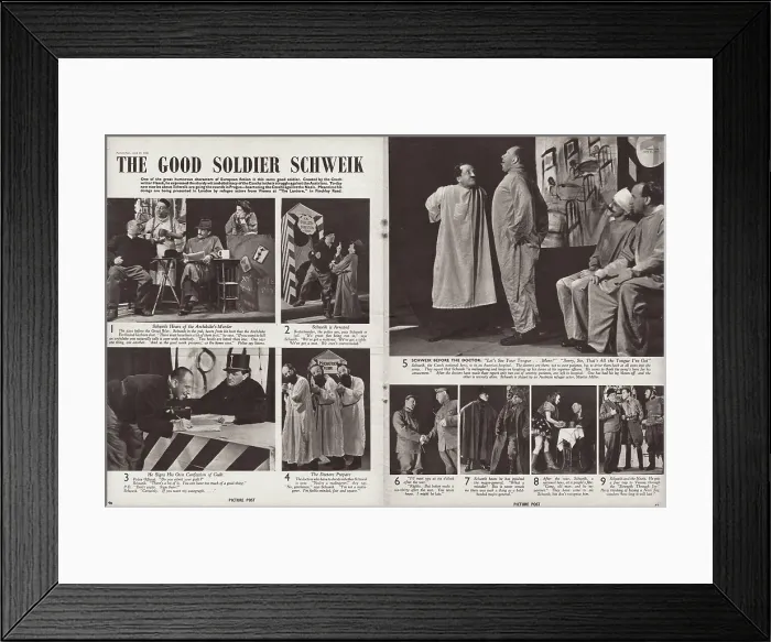 Framed Print : The Good Soldier Schweik Framed Print : The Good Soldier Schweik