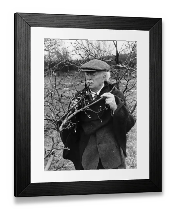 Framed Print : Lloyd George At Home Framed Print : Lloyd George At Home