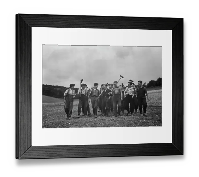 Framed Print : Working In The Field Framed Print : Working In The Field