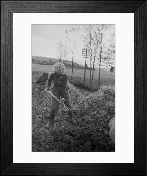 Framed Print : Land Girl At Work