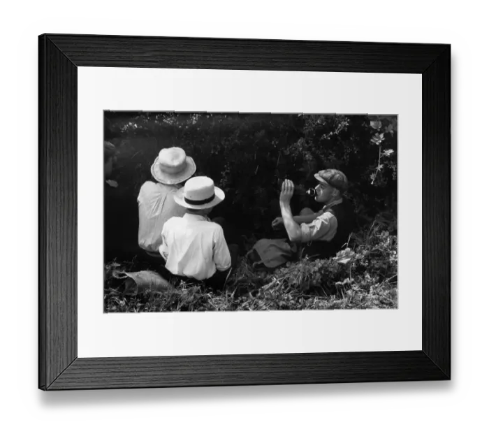 Framed Print : Summer Lunch Break Framed Print : Summer Lunch Break