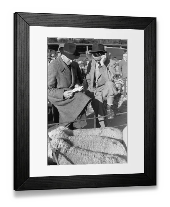 Framed Print : Sheep Sale Framed Print : Sheep Sale