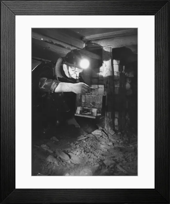 Framed Print : Miner Does Test Framed Print : Miner Does Test