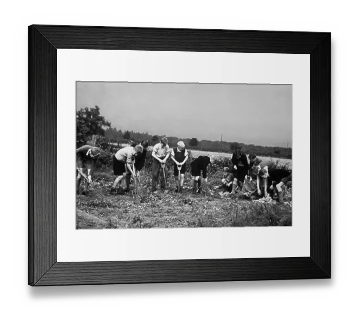 Framed Print : In The Country Framed Print : In The Country