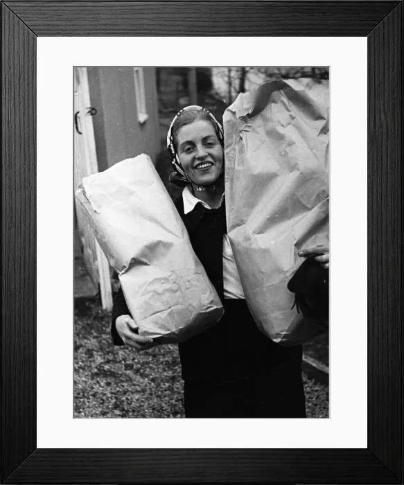 Framed Print : Shopping Bags Framed Print : Shopping Bags