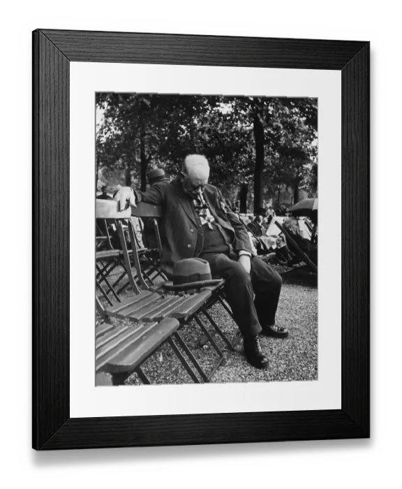 Framed Print : Dozing In The Park Framed Print : Dozing In The Park