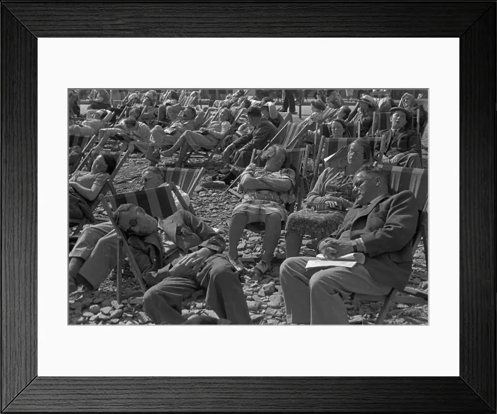 Framed Print : Asleep In The Sun Framed Print : Asleep In The Sun