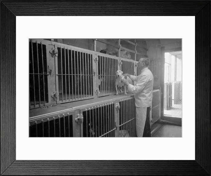 Framed Print : Pet Quarters Framed Print : Pet Quarters