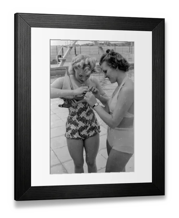Framed Print : Seasoned Sailors Framed Print : Seasoned Sailors