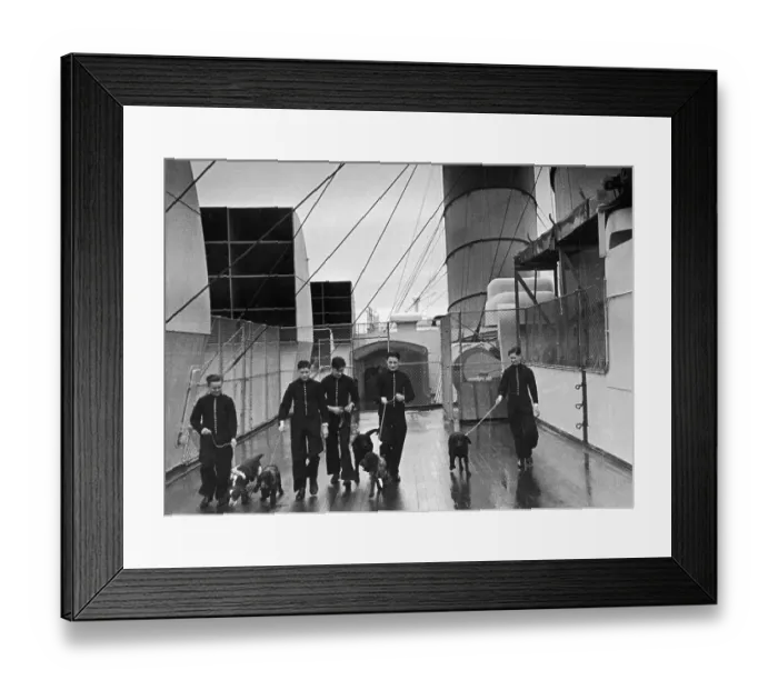 Framed Print : Dog Walkers Framed Print : Dog Walkers