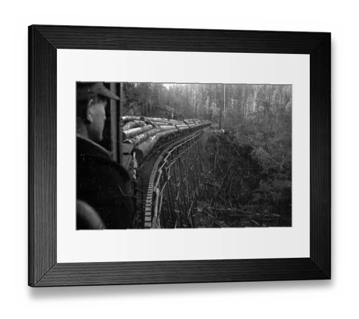 Framed Print : Timber Train Framed Print : Timber Train