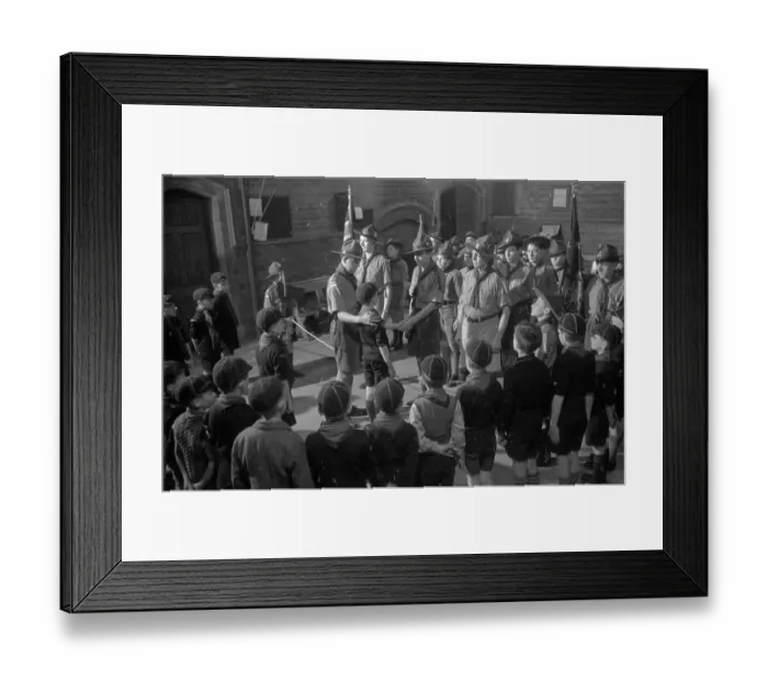 Framed Print : From Cub To Scout Framed Print : From Cub To Scout