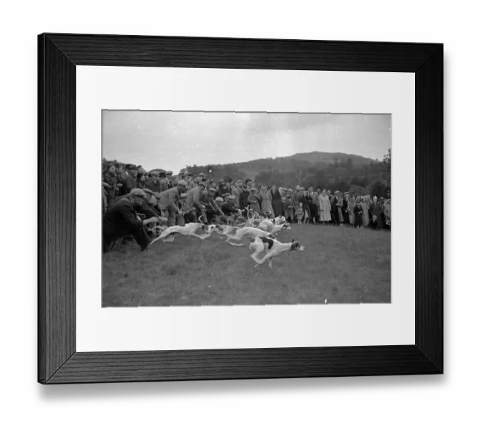 Framed Print : The Hound Trail Framed Print : The Hound Trail