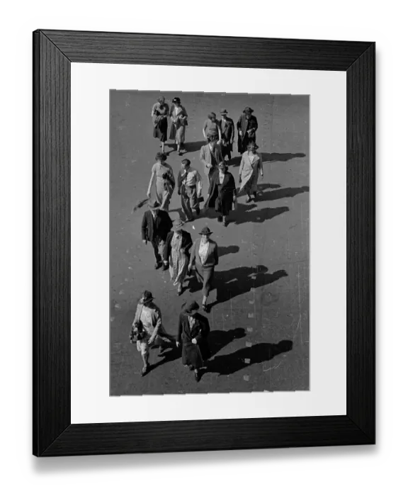 Framed Print : Shakespeare Fans Framed Print : Shakespeare Fans