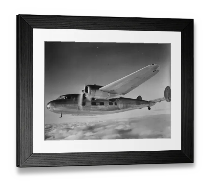 Framed Print : Flamingo Airliner Framed Print : Flamingo Airliner