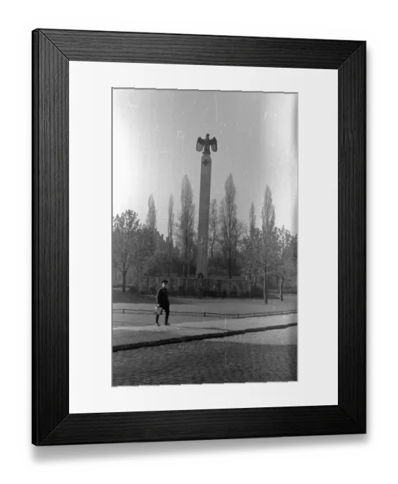 Framed Print : Third Reich Eagle Framed Print : Third Reich Eagle