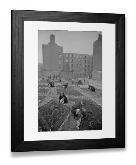 Framed Print : Council Garden Framed Print : Council Garden