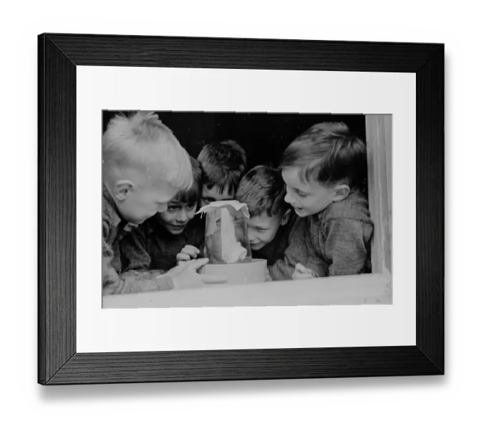 Framed Print : Caught In The Jar Framed Print : Caught In The Jar