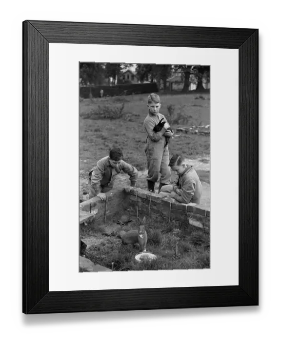 Framed Print : Rabbit Pen Framed Print : Rabbit Pen