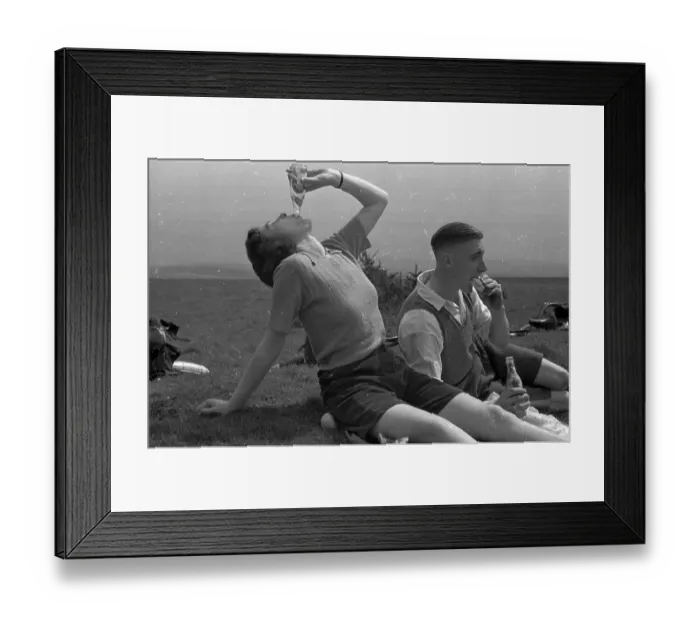 Framed Print : Picnic Lunch Framed Print : Picnic Lunch