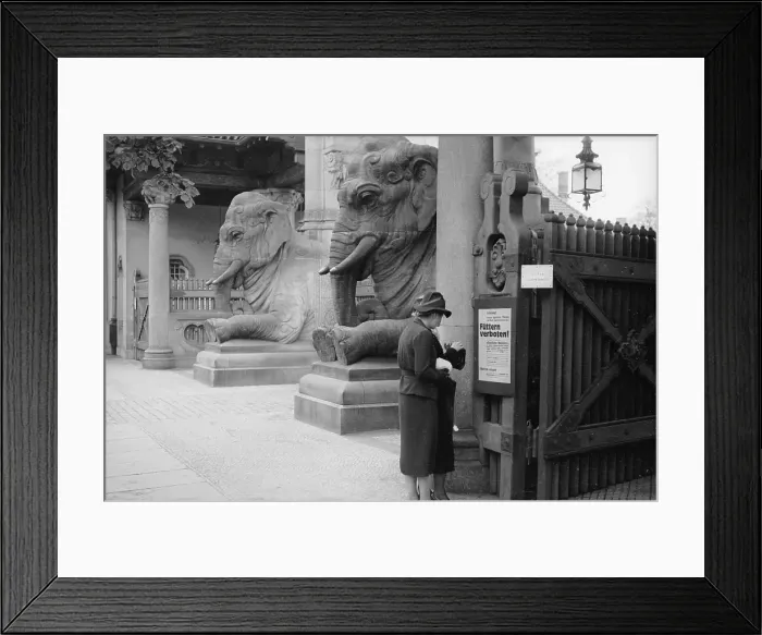 Framed Print : Berlin Zoo Framed Print : Berlin Zoo