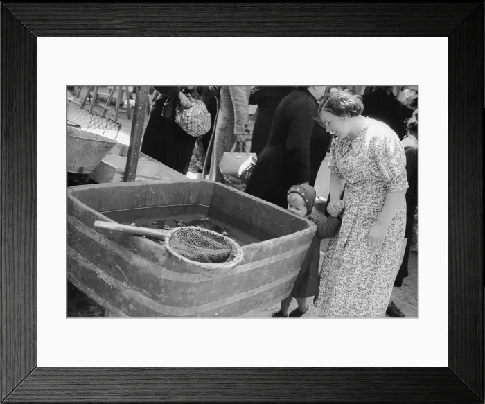 Framed Print : Fish Pool. 3rd June 1939: Customers watching the fish swimming in a fishmonger's Framed Print : Fish Pool. 3rd June 1939: Customers watching the fish swimming in a fishmonger's