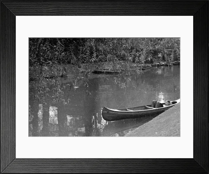 Framed Print : Cambridge Backs Framed Print : Cambridge Backs