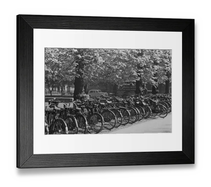 Framed Print : Line Of Bicycles Framed Print : Line Of Bicycles