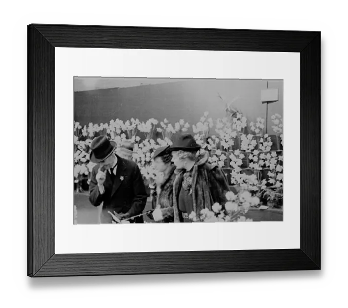 Framed Print : Flower Show Framed Print : Flower Show