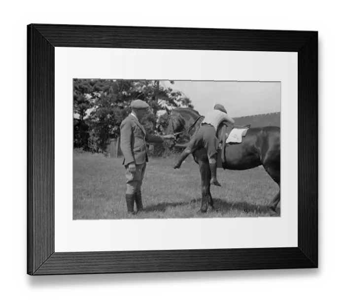 Framed Print : Hard Work. 6th May 1939: Apprentice jockey Billy climbing on to a horse Framed Print : Hard Work. 6th May 1939: Apprentice jockey Billy climbing on to a horse