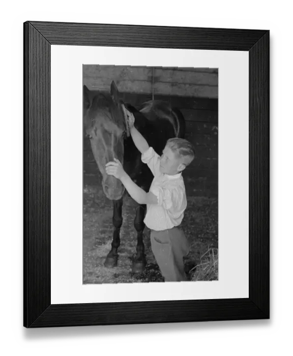 Framed Print : Grooming Hack Framed Print : Grooming Hack