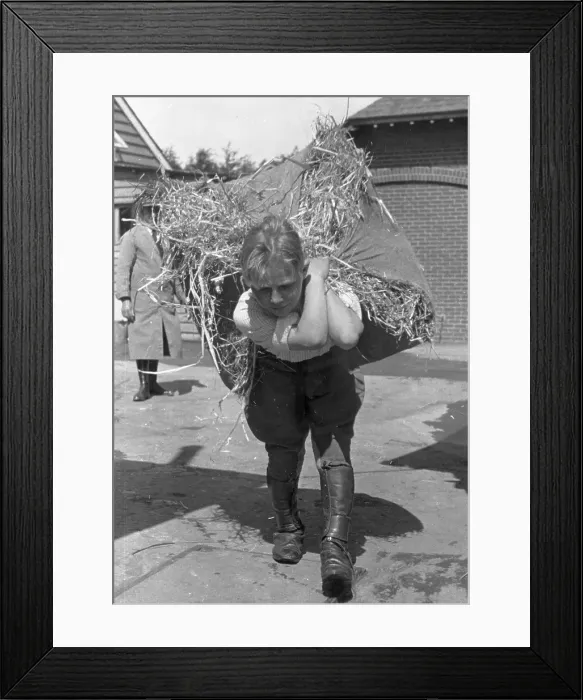 Framed Print : Straw Back Framed Print : Straw Back
