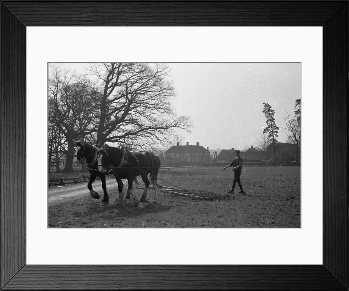 Framed Print : A Harrowing Sight Framed Print : A Harrowing Sight