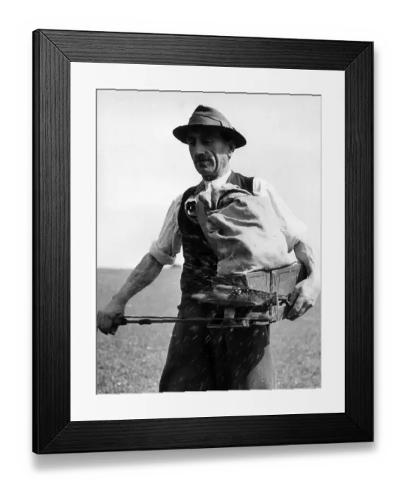 Framed Print : Fiddling Seed Framed Print : Fiddling Seed
