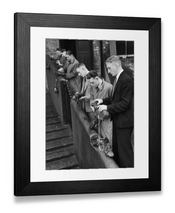 Framed Print : Cleaning Boots Framed Print : Cleaning Boots