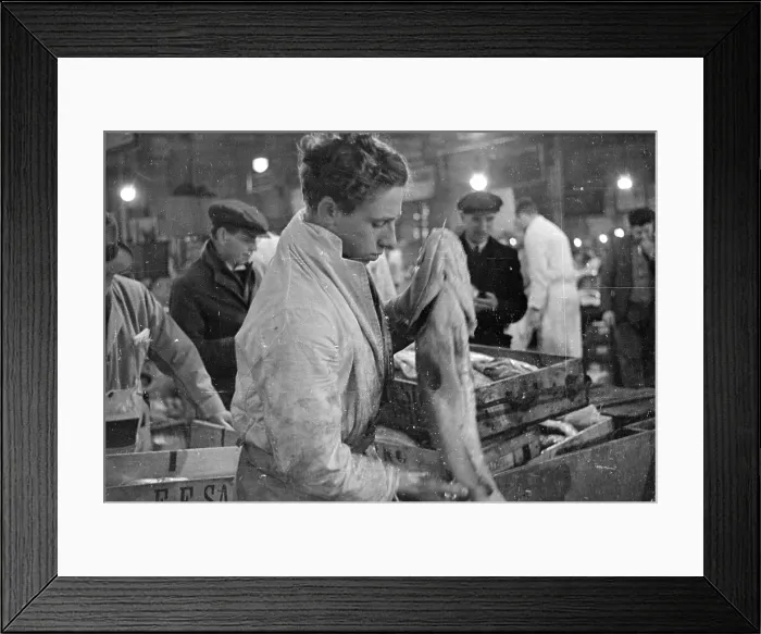 Framed Print : Checking The Cod Framed Print : Checking The Cod