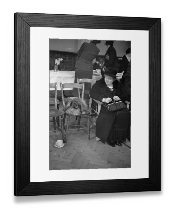 Framed Print : Dog's Chair Framed Print : Dog's Chair
