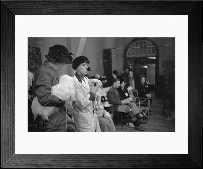 Framed Print : Serious Business Framed Print : Serious Business