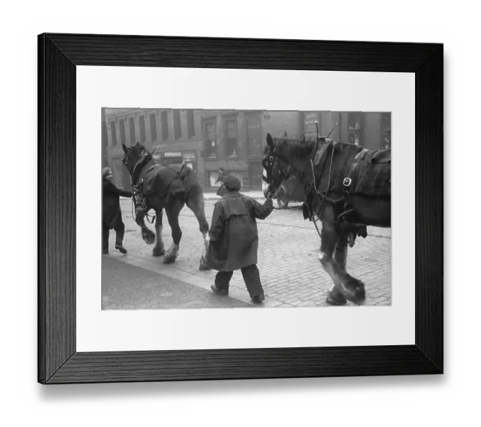 Framed Print : Street Horses Framed Print : Street Horses